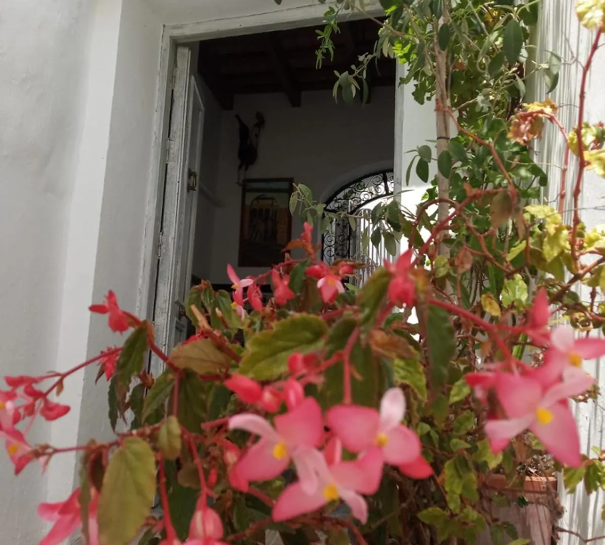 Azur Διαμέρισμα Vejer de la Frontera